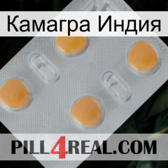 Камагра Индия 24